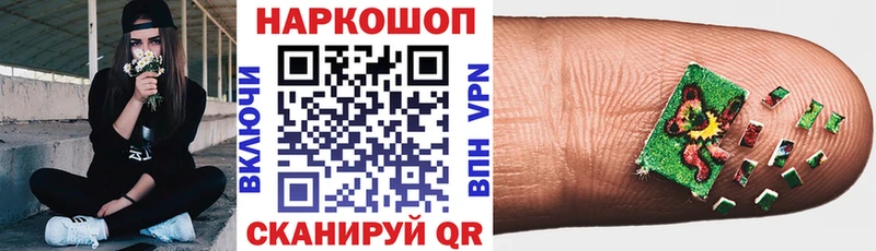 Канабис Лодейное Поле