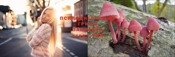прущие крисы Абдулино