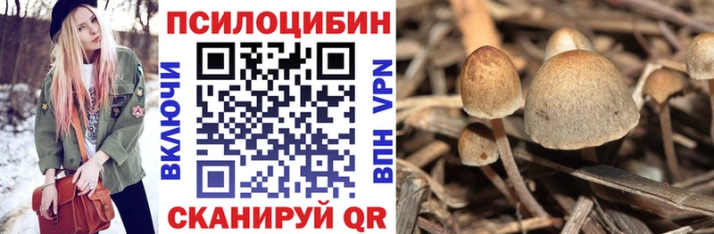 даркнет сайт Лодейное Поле Галлюциногенные грибы ЛСД